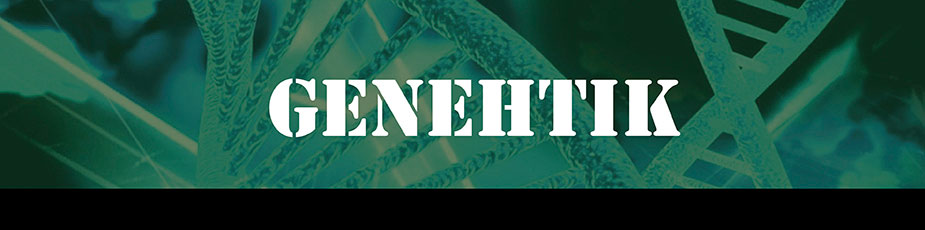 GENETHIK SEEDS