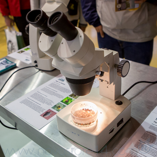 Microscope pour observer les trichomes