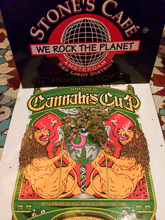 Photo de cannabis à la high times cannabis cup 2013