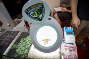 Photo expo grow 2014 d'un microscope loupe à marijuana