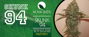image de skunk 94 de nova seeds
