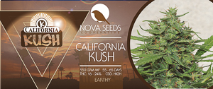 Image de california kush de nova seeds
