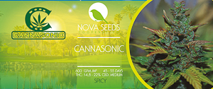 Image de cannasnoic de nova seeds