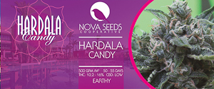 Image de hardala candy de nova seeds