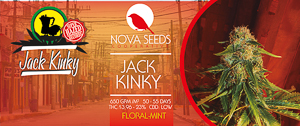 Image de jack kinky de nova seeds