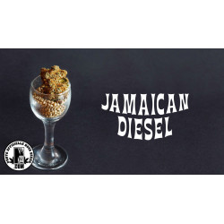 Jamaican Diesel - Medical Nova Seeds