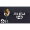 Jamaican Diesel - Medical Nova Seeds