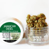 Jamaican Diesel - Medical Nova Seeds