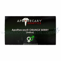 ORANGE BERRY - Regular