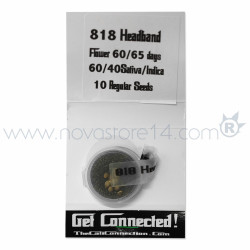 818 HEAD BAND - Regular