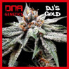 DJ'S GOLD