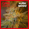Kushberry