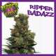 RIPPER BADAZZ 