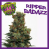 RIPPER BADAZZ 