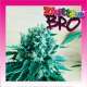 ZKITTLEZ BRO