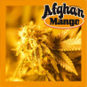 Afghan Mango auto