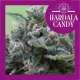 HARDALA CANDY