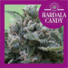 Hardala Candy - Medical Nova Seeds