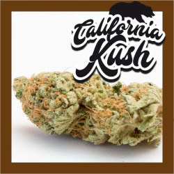 California Kush - Medical Nova seeds