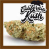California Kush - Medical Nova seeds