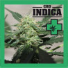 CBD INDICA