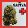 CBD SATIVA