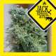 JACK EXPRESS AUTO