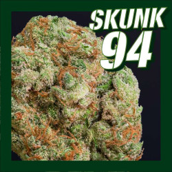 Skunk 94 - Medical Nova Seeds 