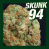 Skunk 94 - Medical Nova Seeds 