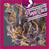 PURPLE JACK 