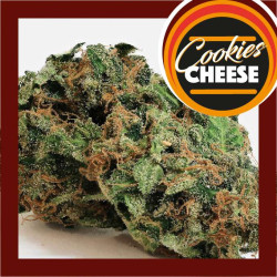 COOKIES CHEESE 