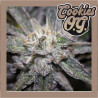 COOKIES OG 