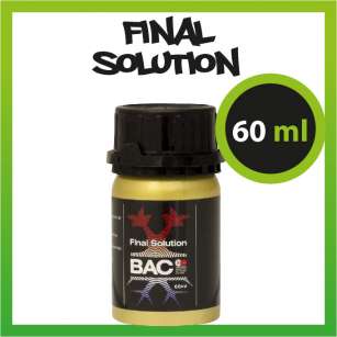 BAC FINAL SOLUTION