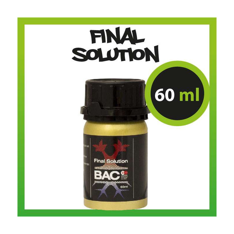 BAC FINAL SOLUTION