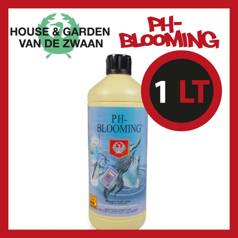 HOUSE & GARDEN PH - BLOOMING