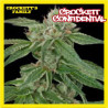 CROCKETT'S CONFIDENTIAL - Regular