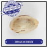 Jamaican Diesel - Medical Nova Seeds