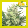LEMONADE AUTO 