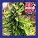 UK MAX AUTO