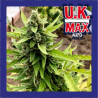 UK MAX AUTO