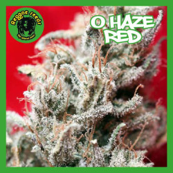 O HAZE RED