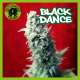 BLACK DANCE