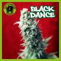 BLACK DANCE