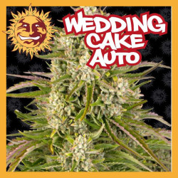 WEDDING CAKE AUTO 