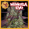 MIMOSA EVO 