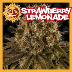 STRAWBERRY LEMONADE 