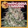 TROPICANNA BANANA
