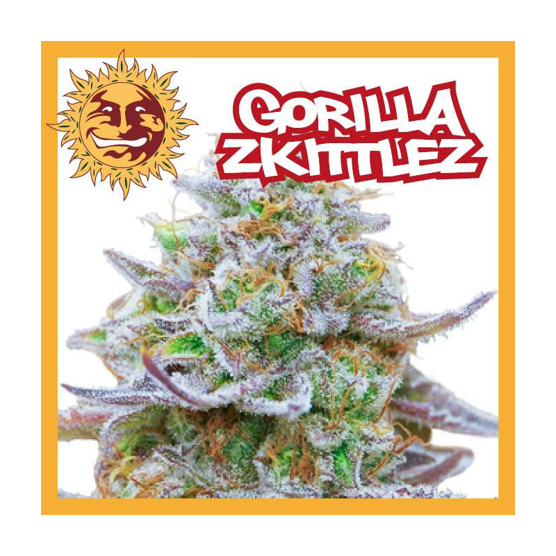 GORILLA ZKITTLEZ