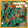 ORANGE BUD 