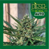 DIESEL XXL AUTO 